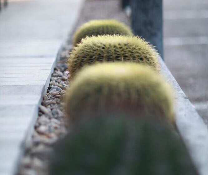 酒店 First Residence