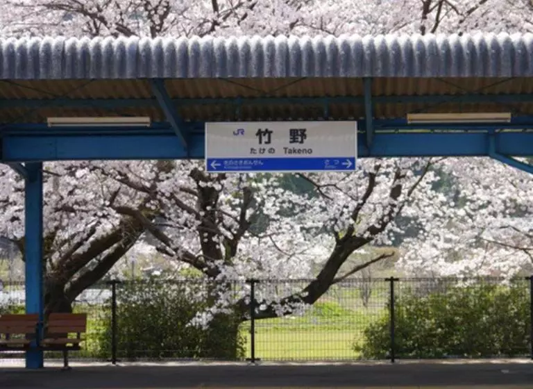 ホテル Kyukamura Takenokaigan