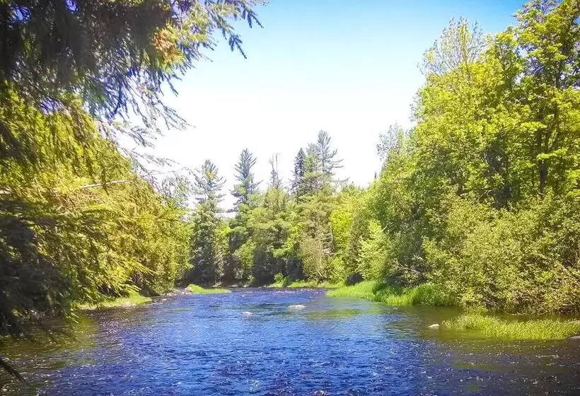 هتل North Ironwood Acres Black River Lodge