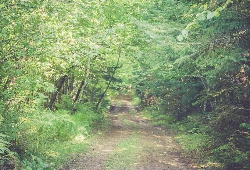 هتل North Ironwood Acres Black River Lodge