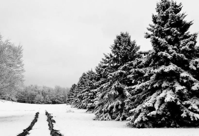 هتل North Ironwood Acres Black River Lodge