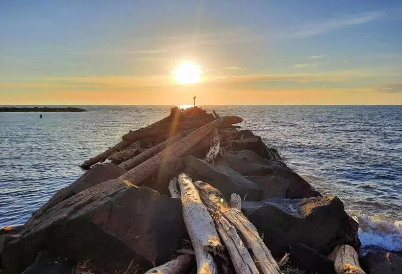 هتل North Ironwood Acres Black River Lodge