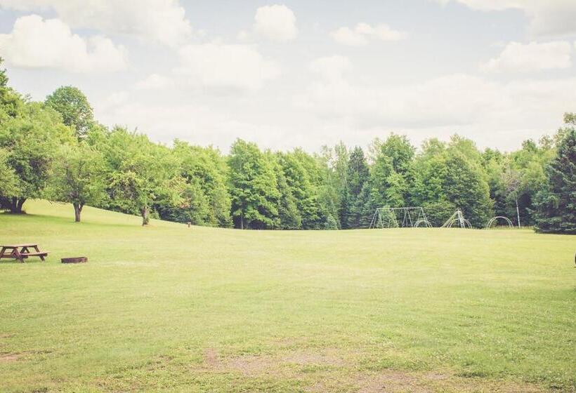 酒店 North Ironwood Acres   Black River Lodge