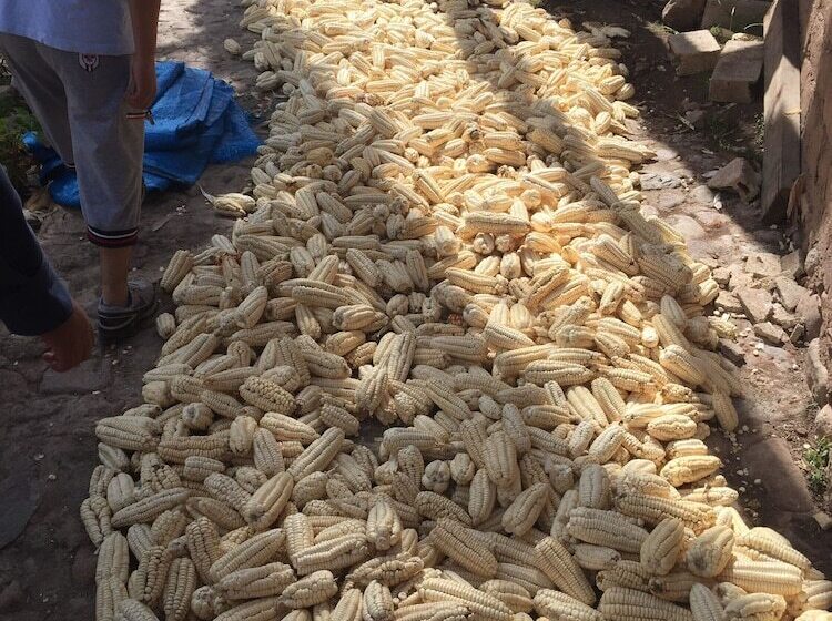 Mystical Adventures Hostel