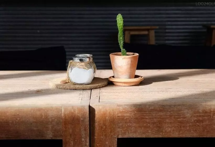 Pension Samatha Bed & Breakfast