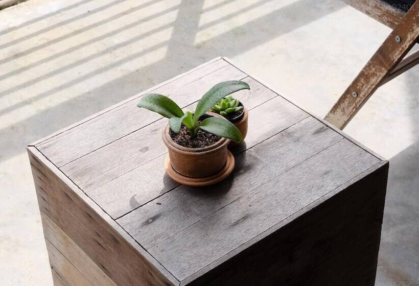 Пансион Samatha Bed & Breakfast