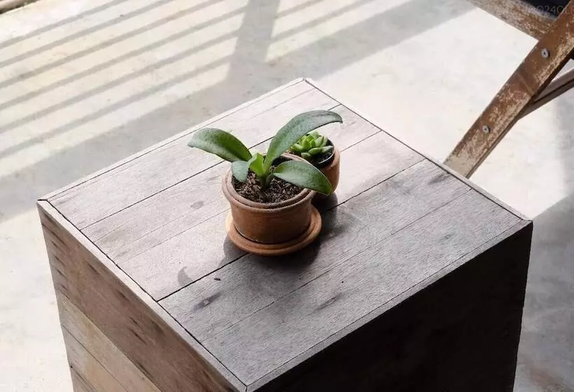 Pension Samatha Bed & Breakfast