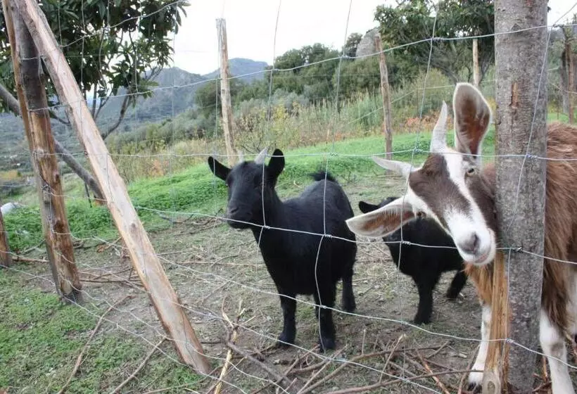 هتل Agriturismo Ghiritina