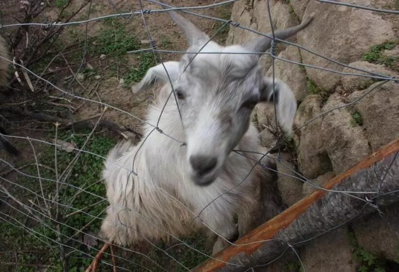 هتل Agriturismo Ghiritina