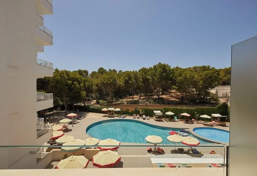 Alua Calvia