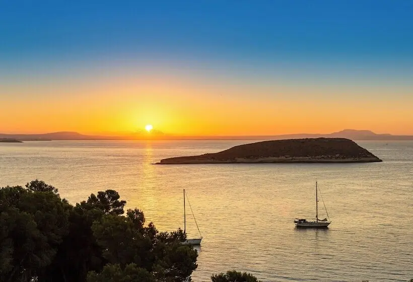 هتل Alua Calvia