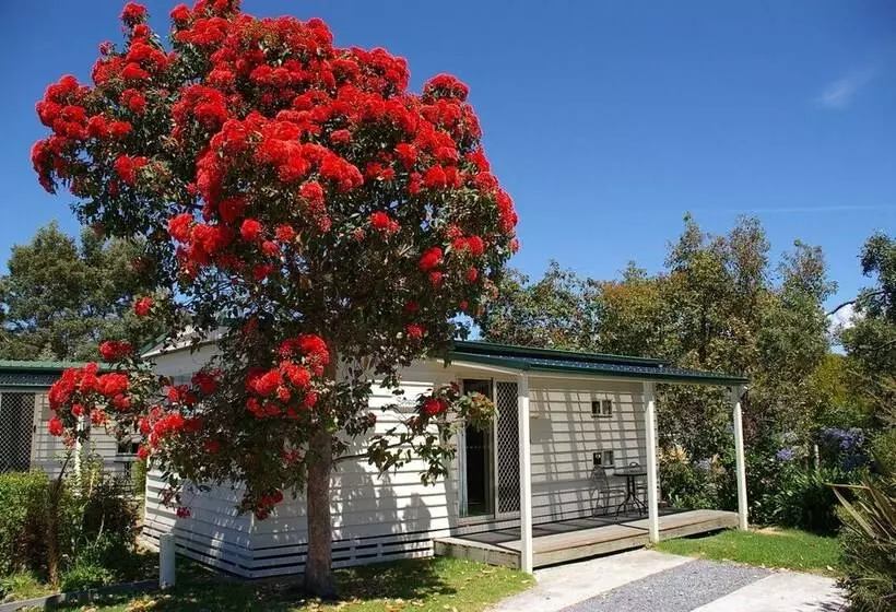 Hotelli Beauty Point Tourist Park