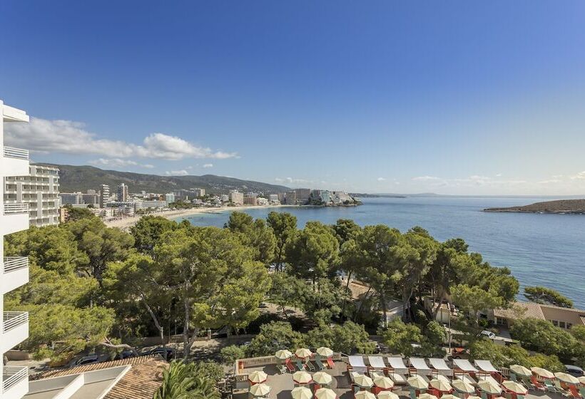 호텔 Dreams Calvià Mallorca