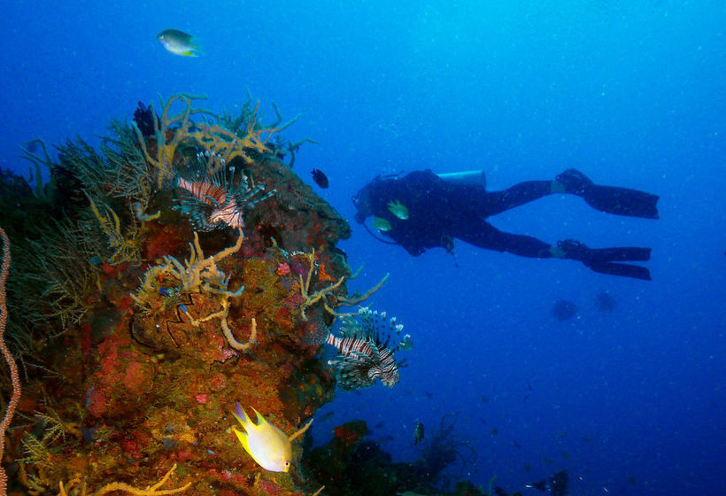 酒店 Huma Island Resort & Spa