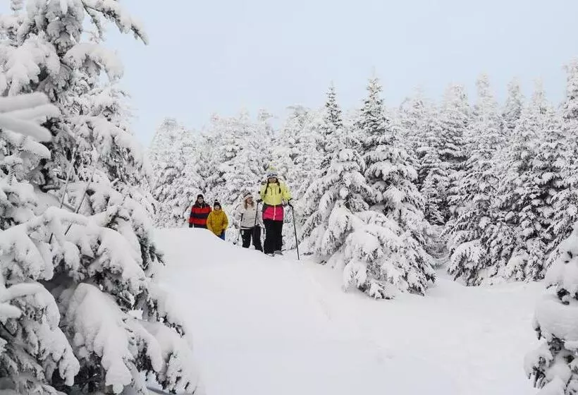 ホテル Long Trail House Condominiums At Stratton Mountain Resort
