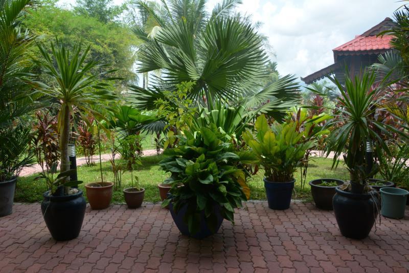 فندق Sunset Valley