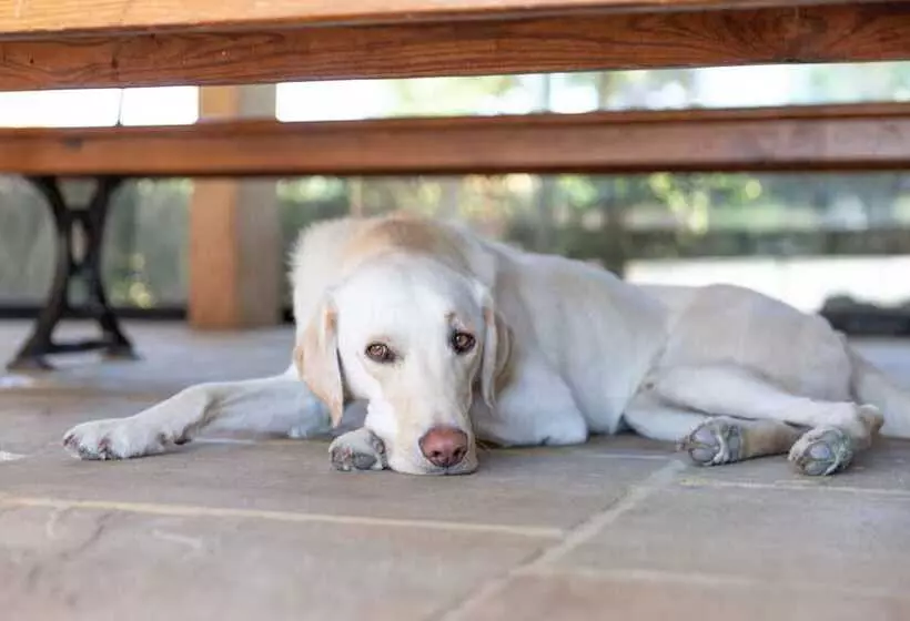 Bed and Breakfast Hurst Farm