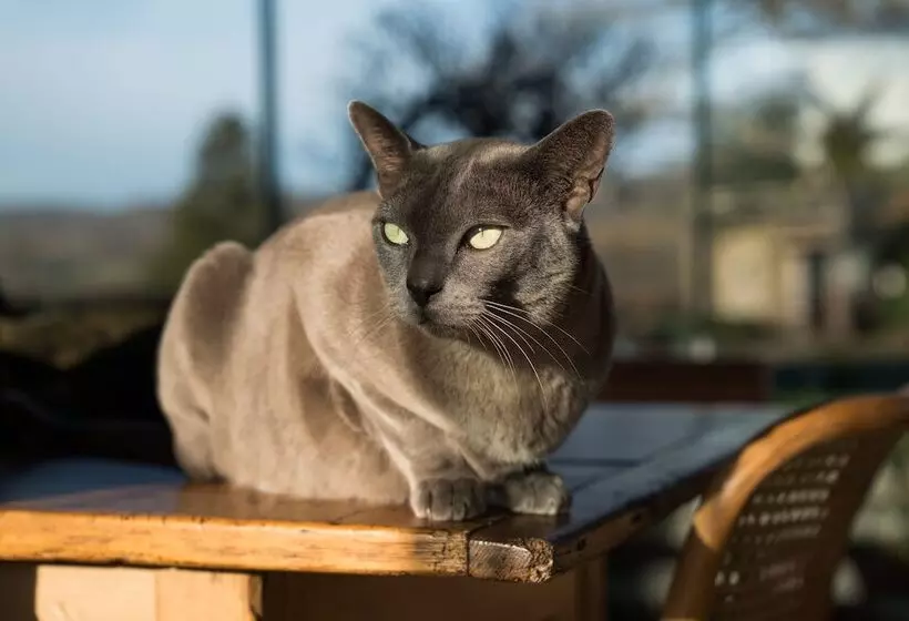 Bed and Breakfast Hurst Farm