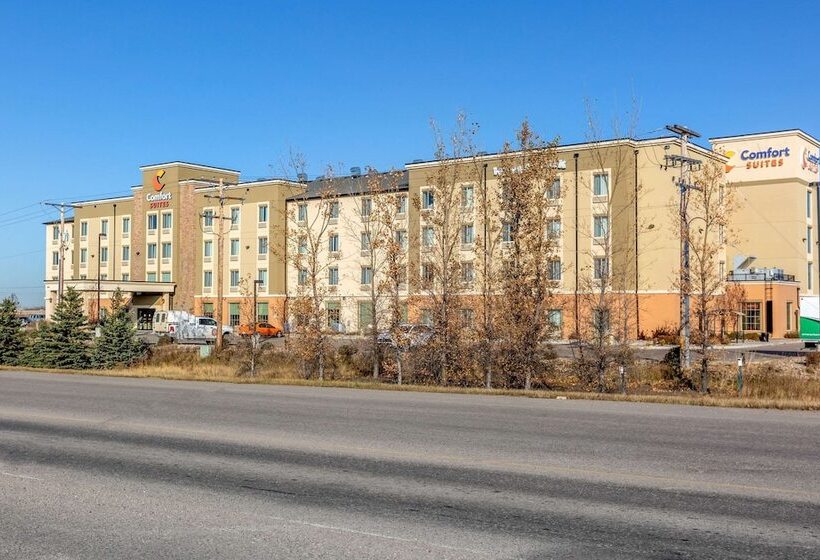 בית מלון כפרי Comfort Suites Regina