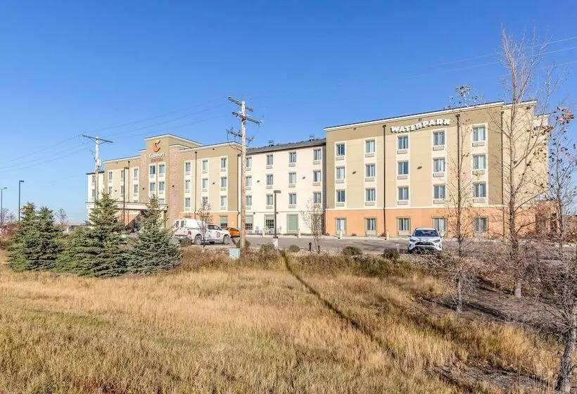 Отель Comfort Suites Regina