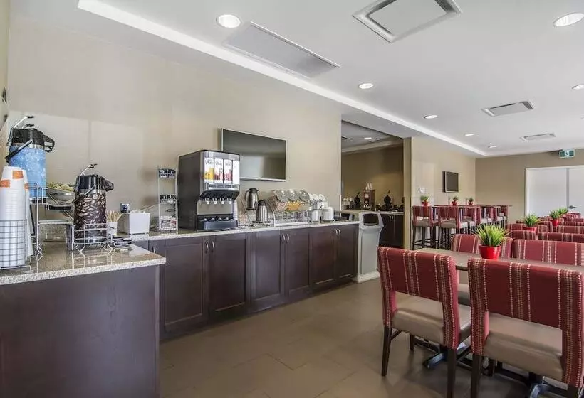 Отель Comfort Suites Regina