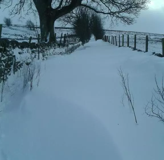 ホテル Old Coach House At The Golden Lion