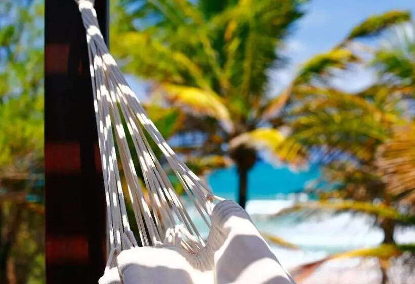 酒店 Pousada Ecoporto