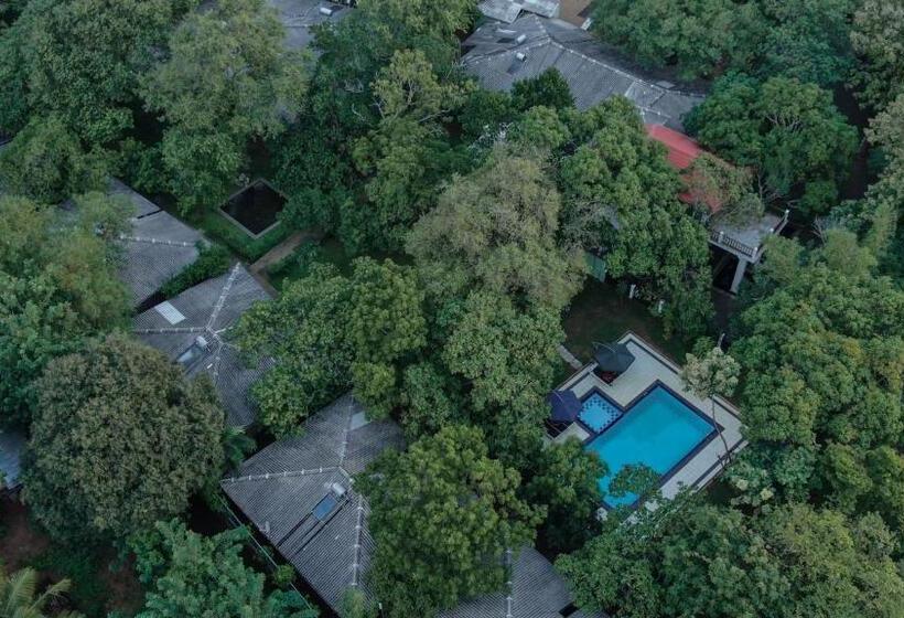 فندق Royal Retreat, Sigiriya 5 Mins To Sigiriya Rock