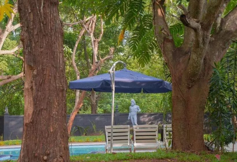 酒店 Royal Retreat, Sigiriya 5 Mins To Sigiriya Rock