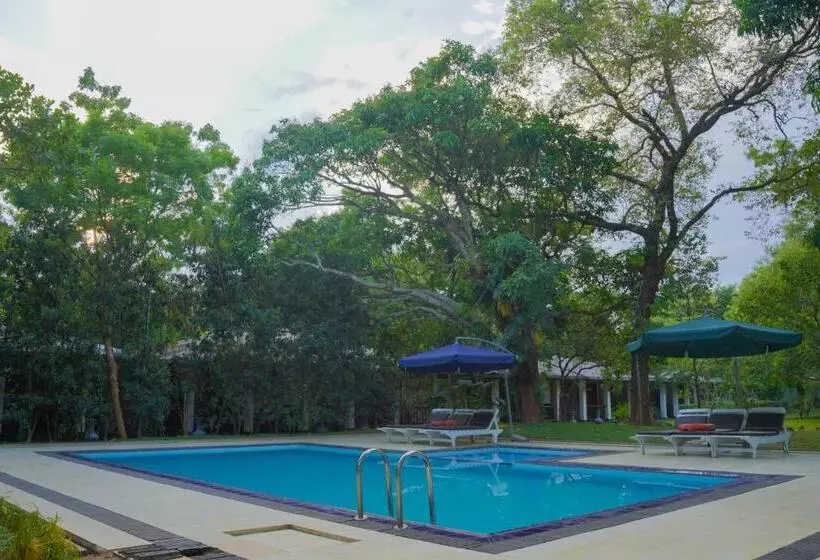 酒店 Royal Retreat, Sigiriya 5 Mins To Sigiriya Rock