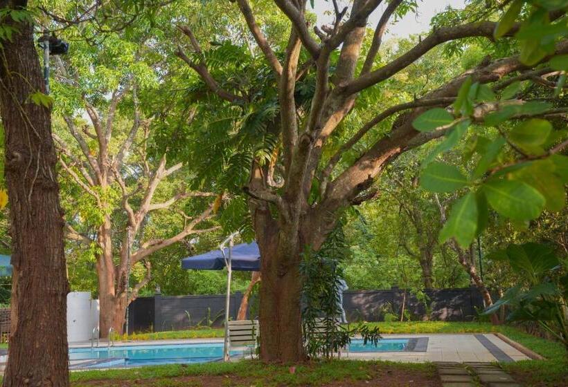 فندق Royal Retreat, Sigiriya 5 Mins To Sigiriya Rock