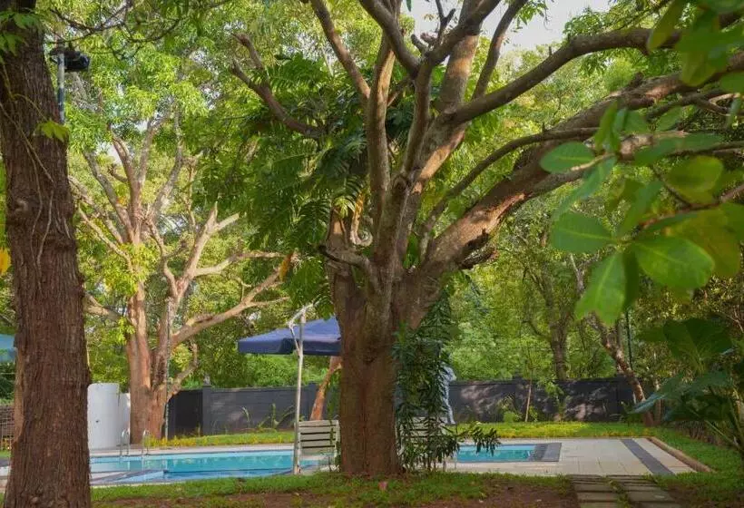 酒店 Royal Retreat, Sigiriya 5 Mins To Sigiriya Rock