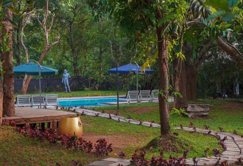 فندق Royal Retreat, Sigiriya 5 Mins To Sigiriya Rock