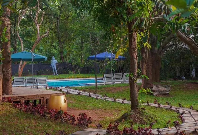 酒店 Royal Retreat, Sigiriya 5 Mins To Sigiriya Rock