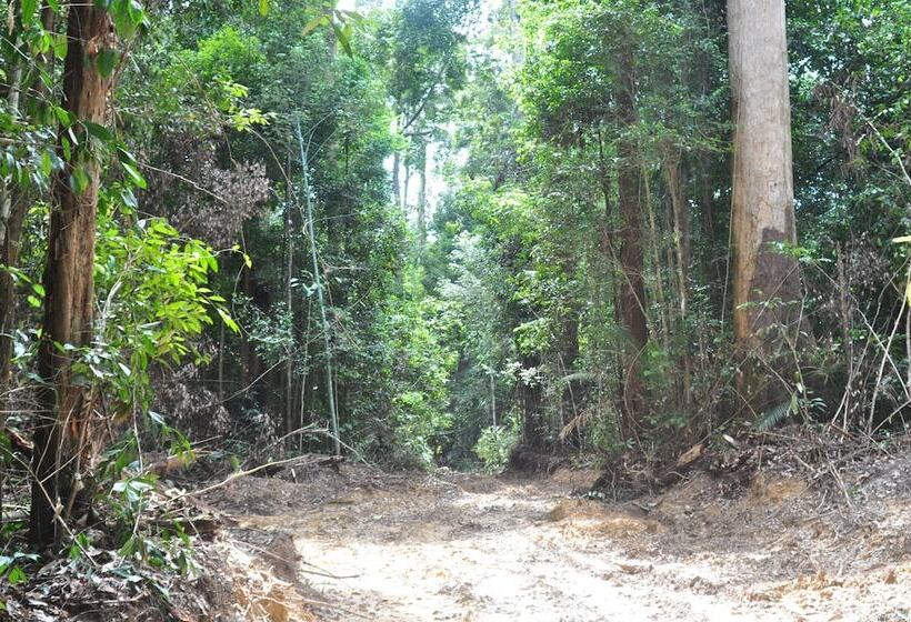 ホテル Samboja Lodge