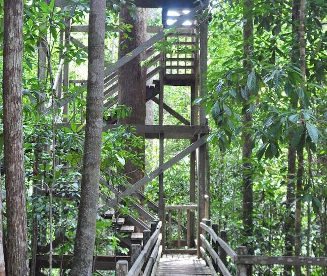 ホテル Samboja Lodge