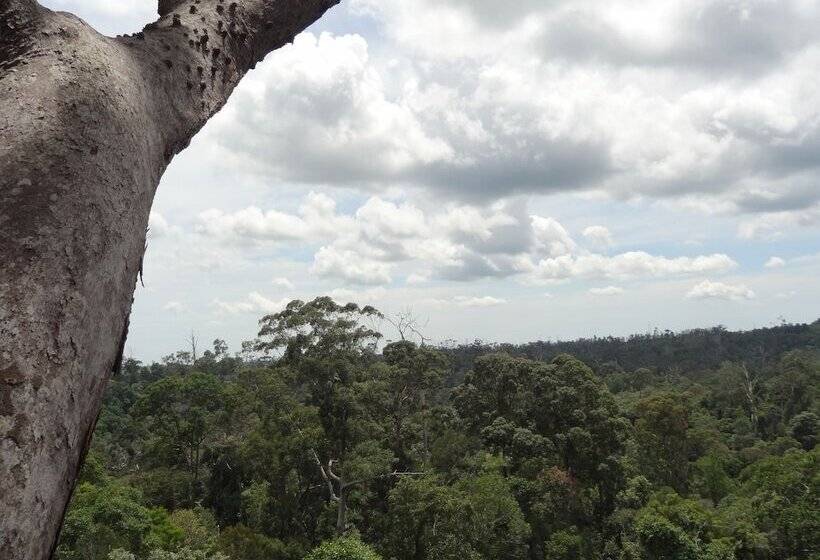 ホテル Samboja Lodge