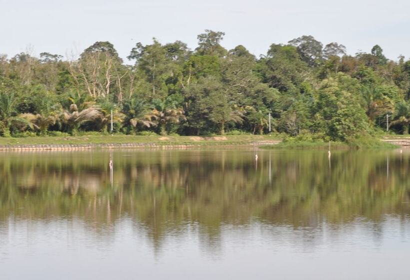 ホテル Samboja Lodge