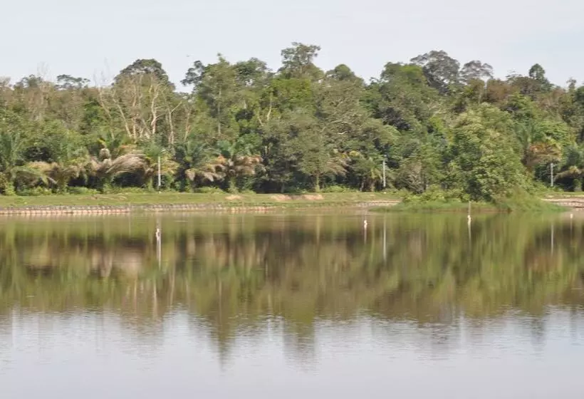 ホテル Samboja Lodge