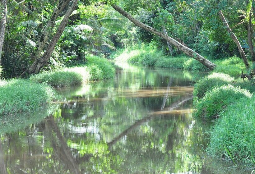 ホテル Samboja Lodge