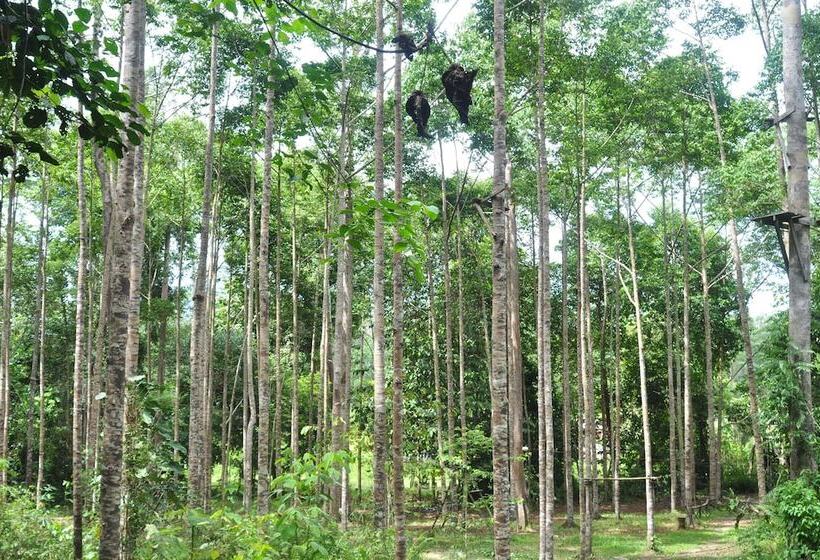 ホテル Samboja Lodge