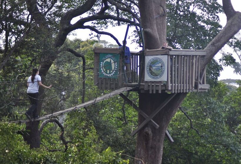 ホテル Samboja Lodge