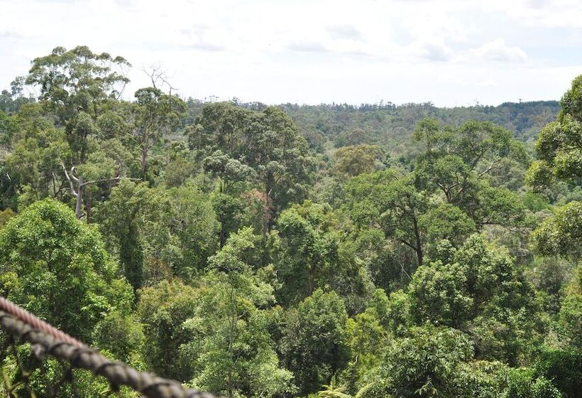 ホテル Samboja Lodge