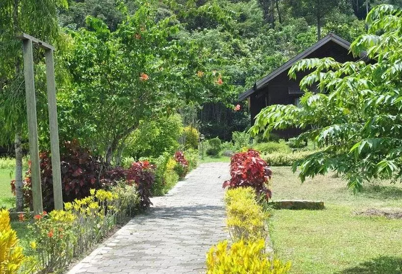 ホテル Samboja Lodge