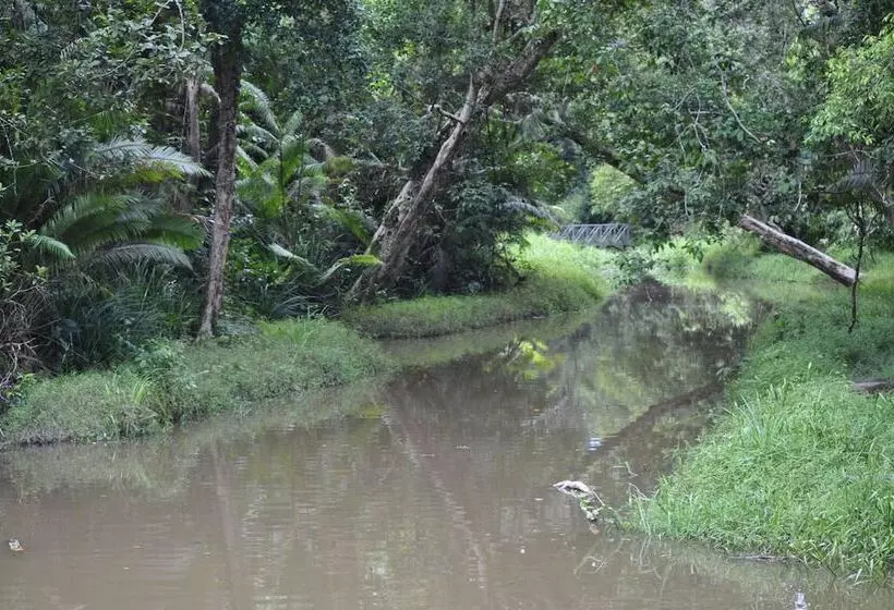 ホテル Samboja Lodge