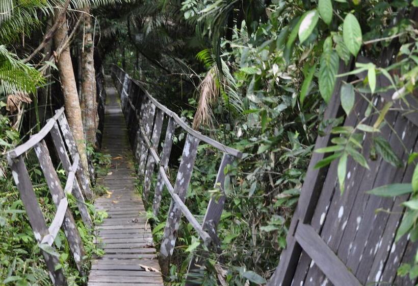 ホテル Samboja Lodge