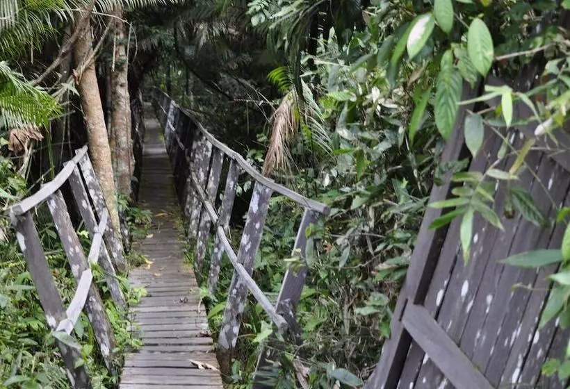 ホテル Samboja Lodge