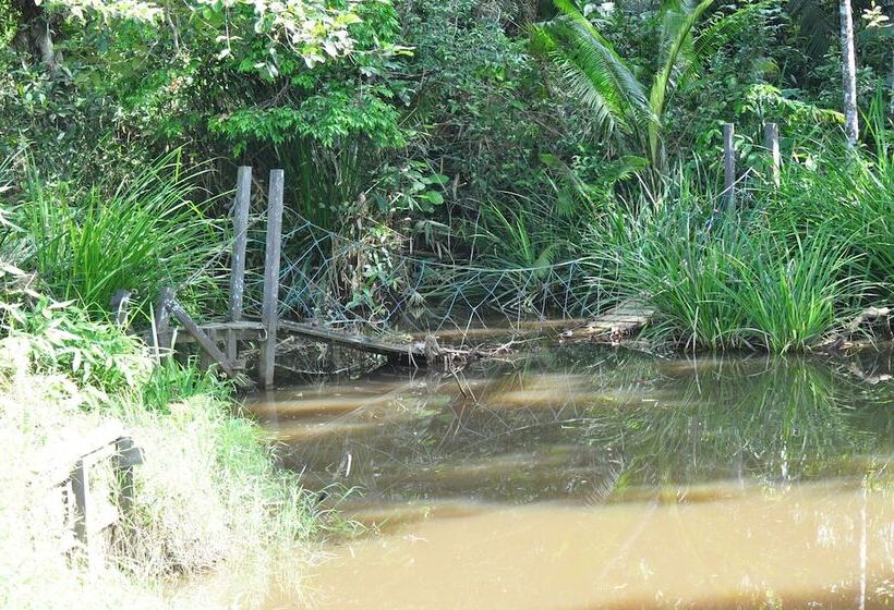 ホテル Samboja Lodge