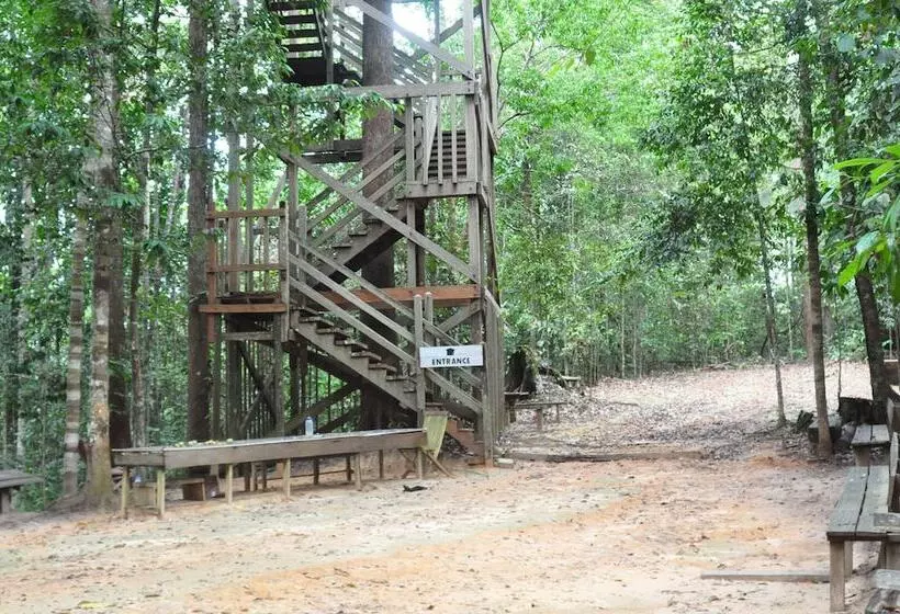 ホテル Samboja Lodge