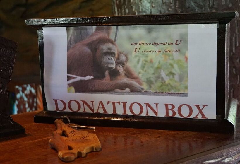 ホテル Samboja Lodge